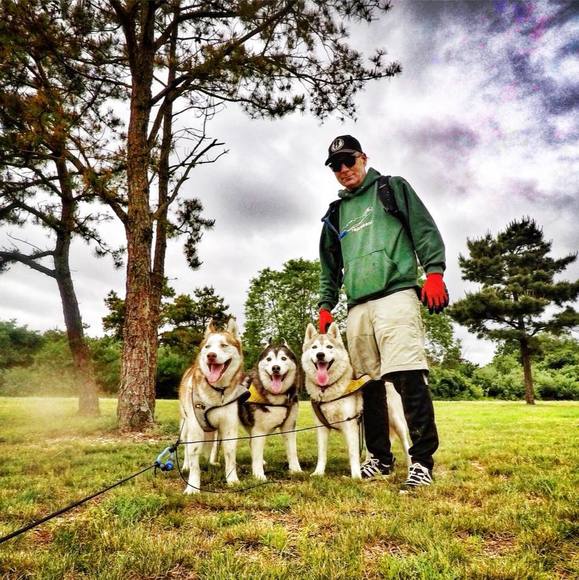 pawesomedogs